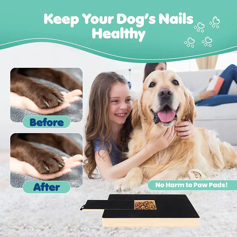 ScratchBuddy™
